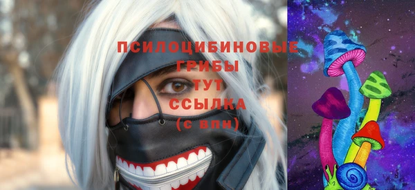 соль ск Киреевск