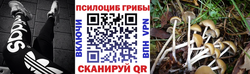 купить  сайты  Ростов-на-Дону  OMG tor  Галлюциногенные грибы ЛСД 