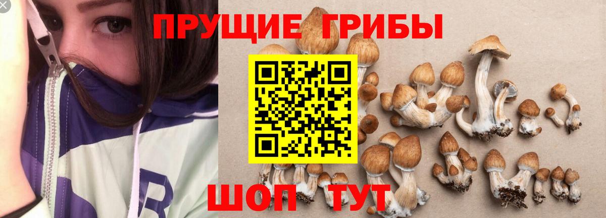 Псилоцибиновые грибы MAGIC MUSHROOMS Ростов-на-Дону